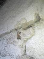 drumcliff 1560.jpg